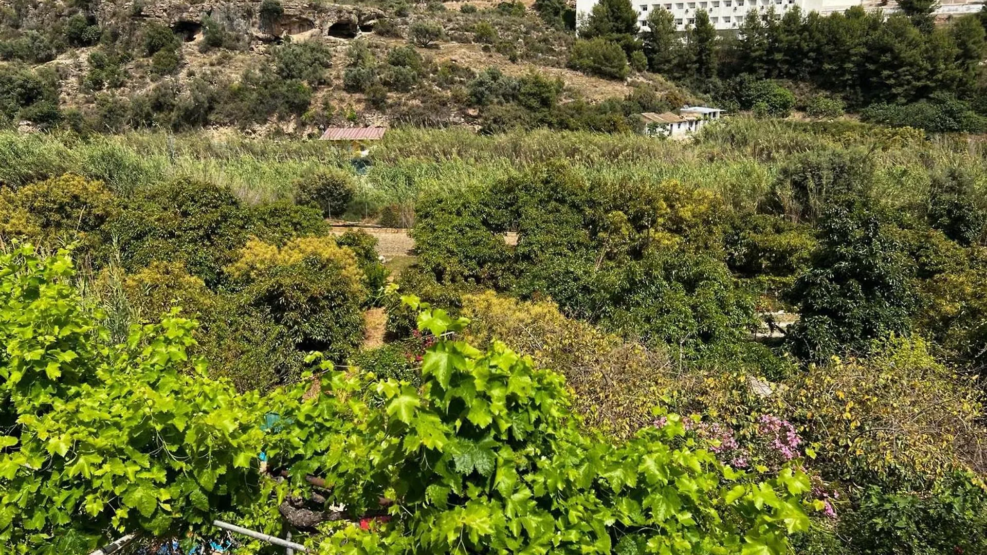 Casa Maracuya Villa Nerja Holiday home